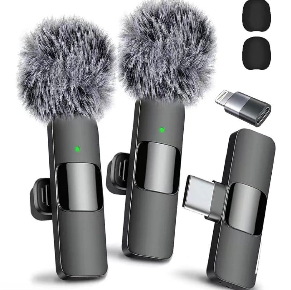 Professional wireless microphone