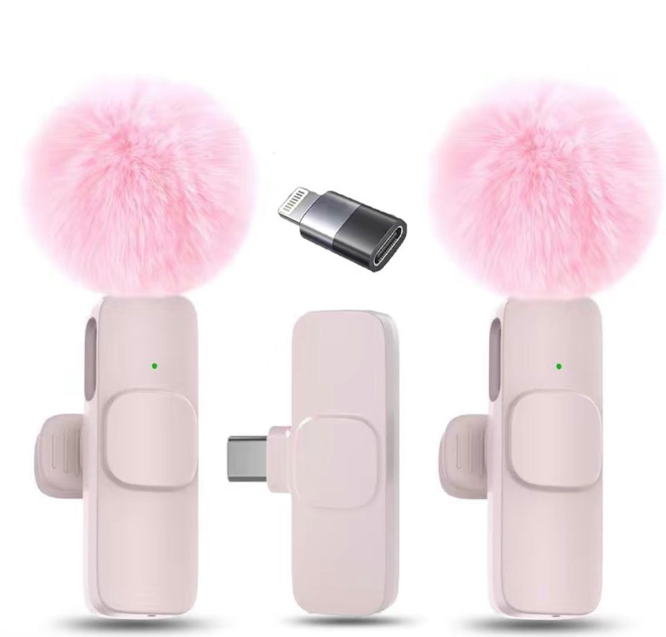 Professional wireless microphone