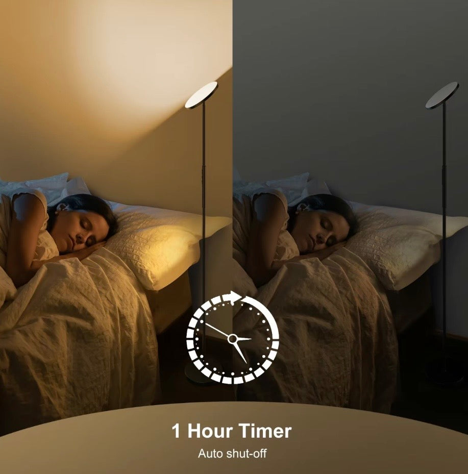 Floor Lamp